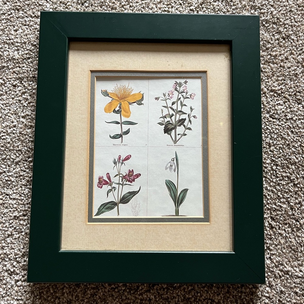 Botanical matted forest green framed art 10” x 12 1/2”. Perfect for a bathroom.